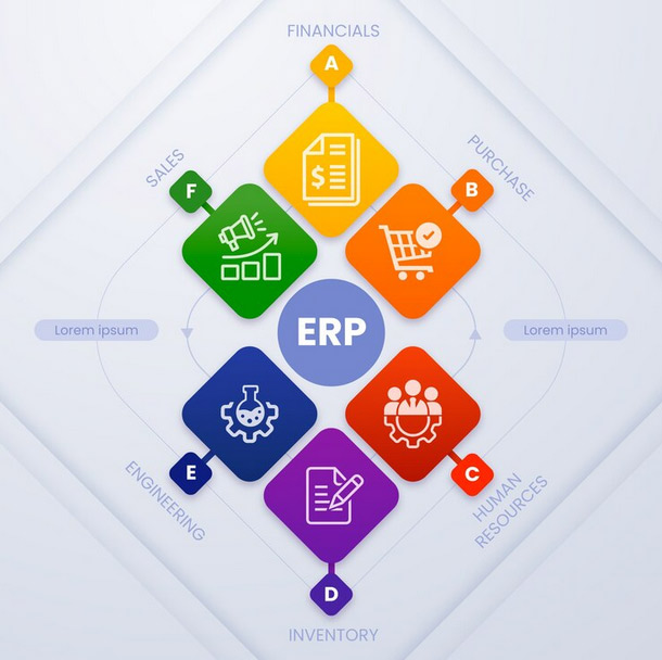 ERP software that handles finance, sales, HR and other functions